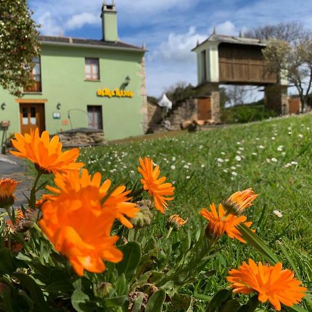 Os Tres Teixos Hostal San Acisclo Exterior foto